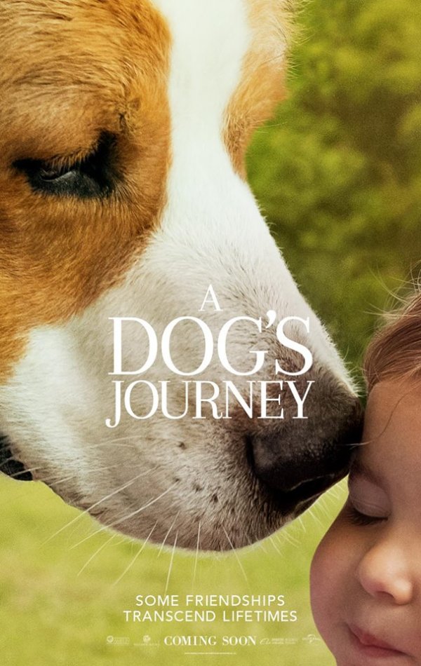 movie a dog's journey cast