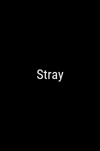 Stray Movie Poster